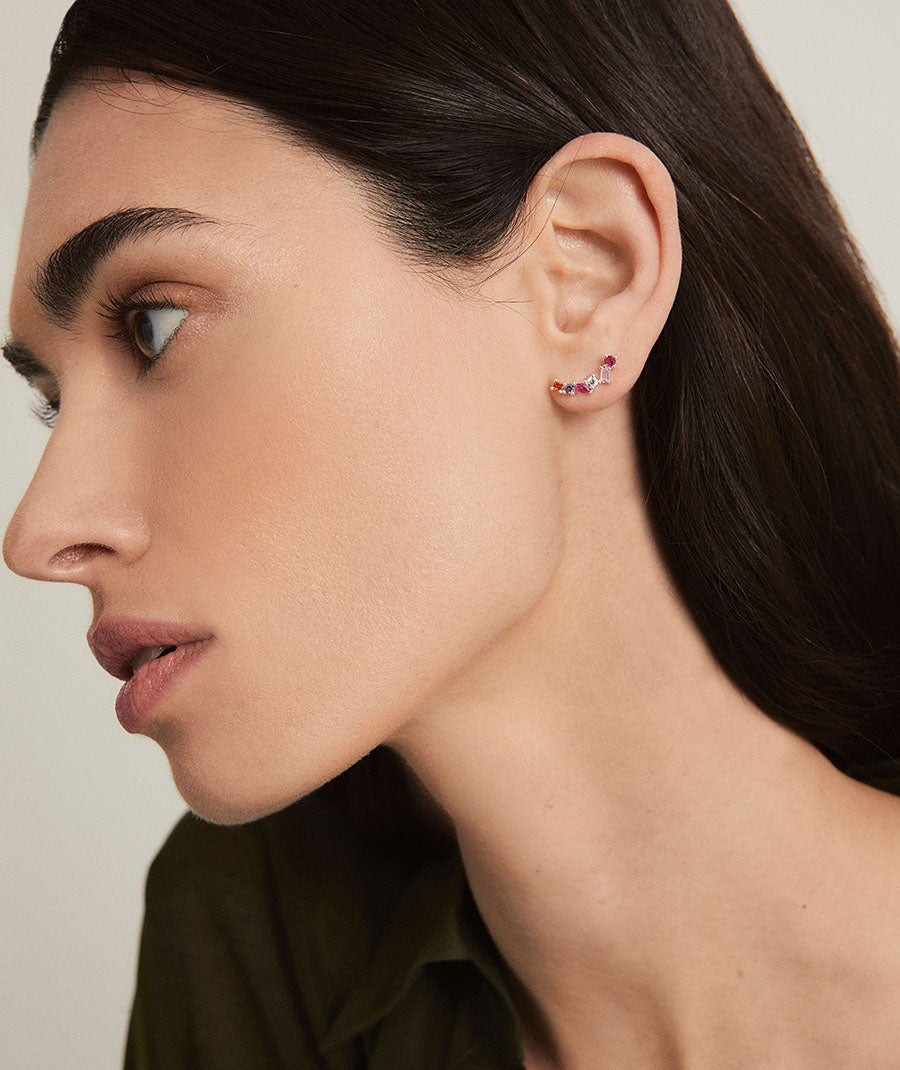 Trepador Multicolor - Imagen 4