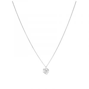Collar Rose